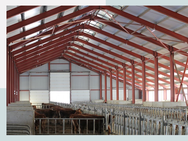 Строительство коровников в Артёме