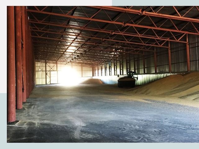 Строительство зернохранилищ в Артёме